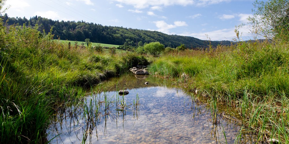 Sur les Eaux