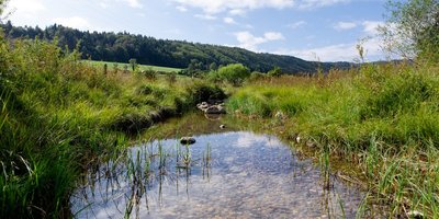 Sur les Eaux