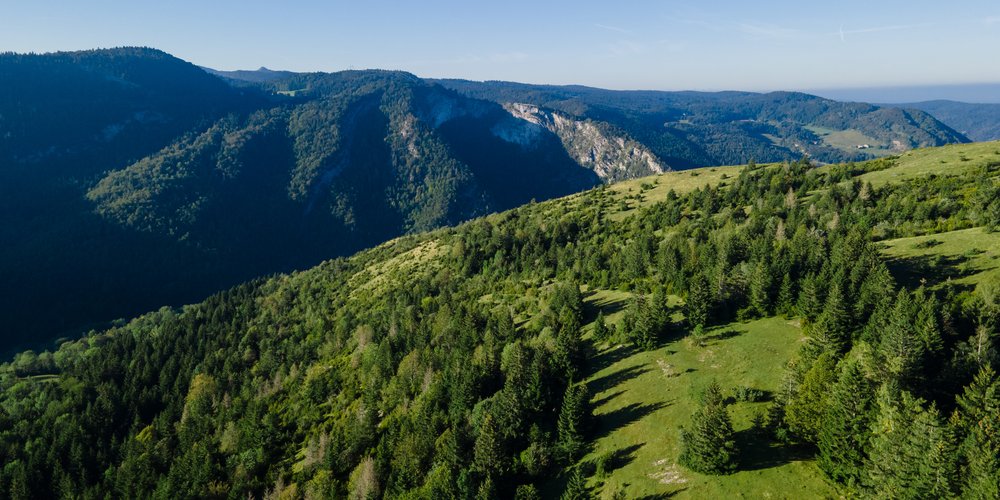 Les Chamois