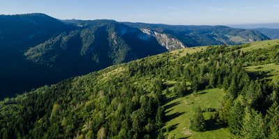 Les Chamois