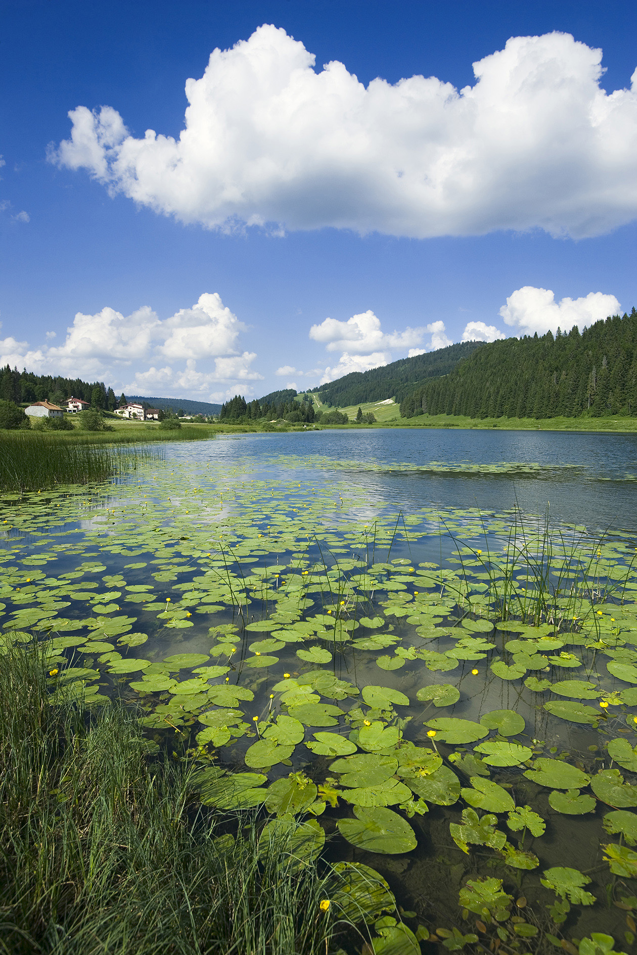 Lac de Lamoura