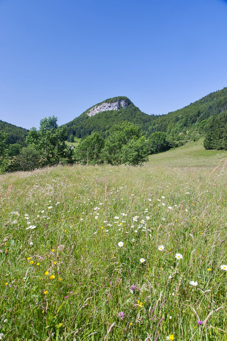 Le Mont Fier