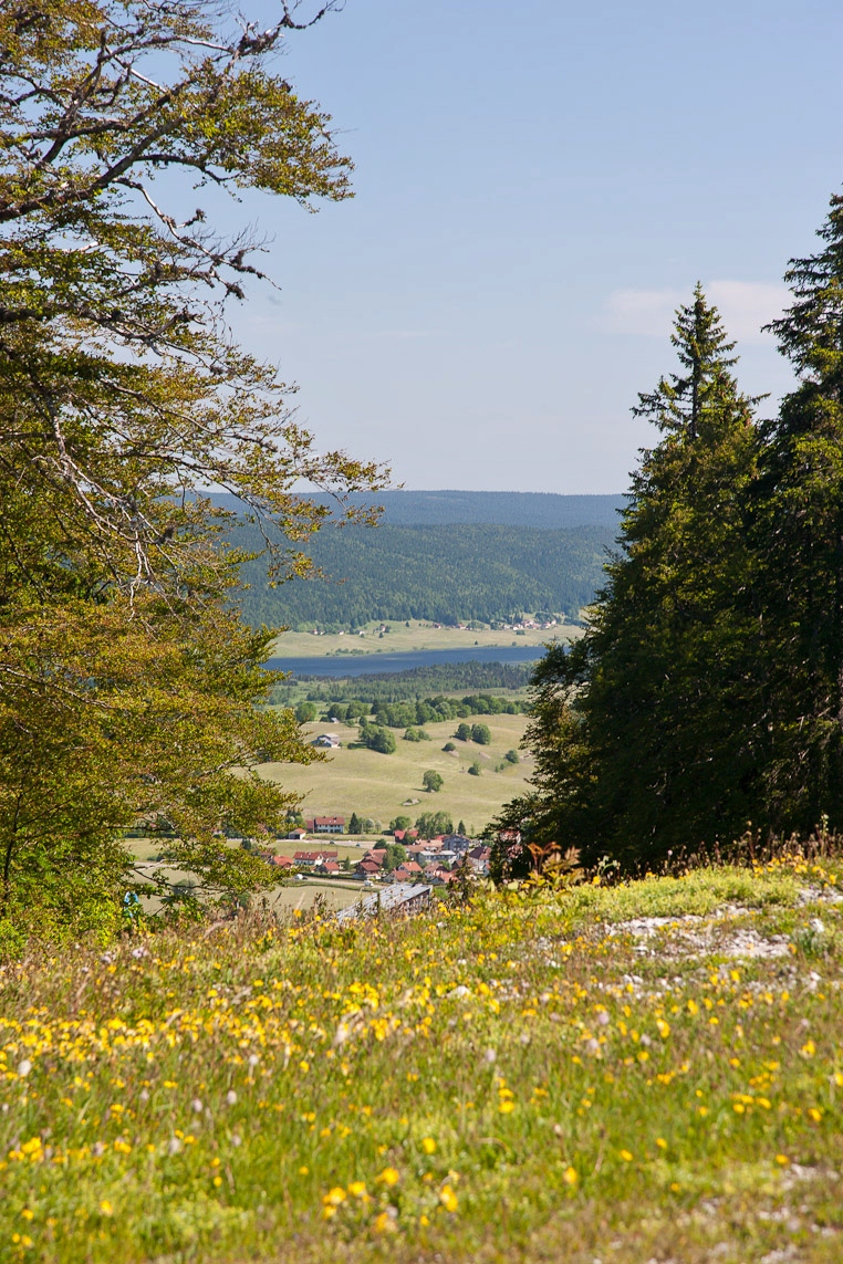 Le Belvédère des Dappes