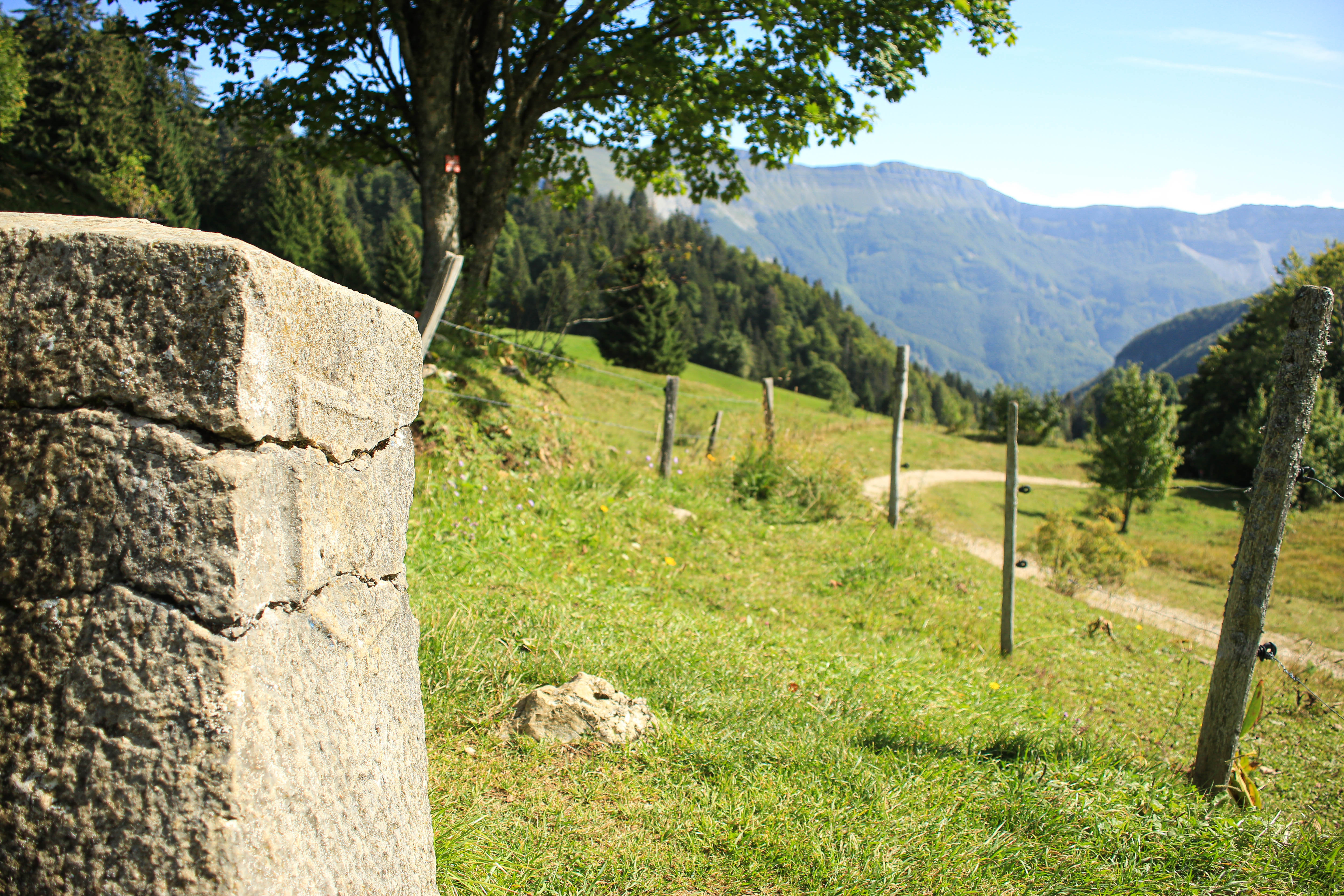 La borne au Lion