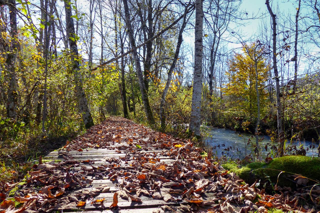 La Valserine Sauvage